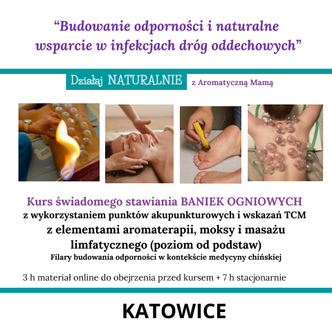 Kurs banki ogniowe Katowice slask.png