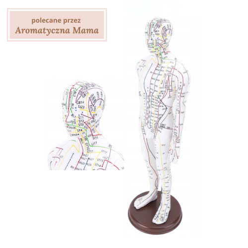Model ludzkiego ciala punkty akupunturowe meridiany TCM.png