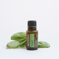basil-essential-oil-used-for.jpg