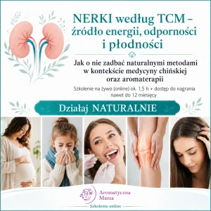 NERKI w TCM - źródło energii odporności płodności - jak wzmocnić je NATURALNYMI metodami