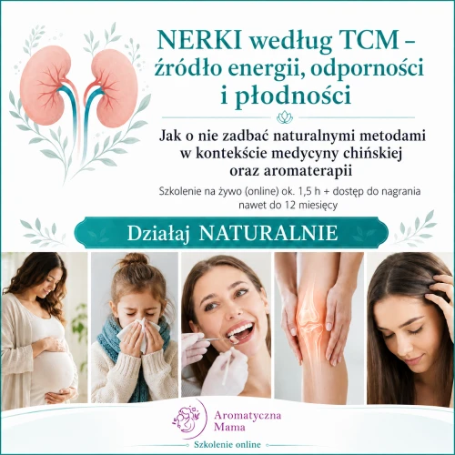 Szkolenie NERKI.png