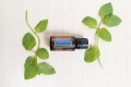Olejek miętowy doTERRA  PEPPERMINT 3.jpg