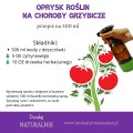 Butelka_naturalny_środek_grzyb.jpg