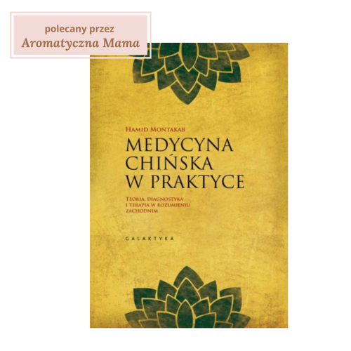Medycyna chińska w praktyce Teoria, diagnostyka i terapia w rozumieniu zachodnim