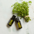 Tymianek_vulgaris_doTERRA.png