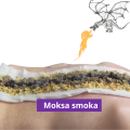 Moksa_smoka_kregoslupie.png